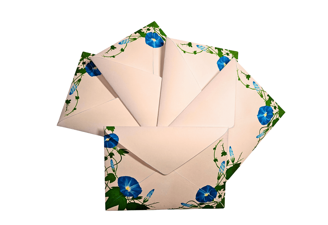 Decorative White Envelopes with Blue Morning Glory Border, Floral Design, Pack of 20